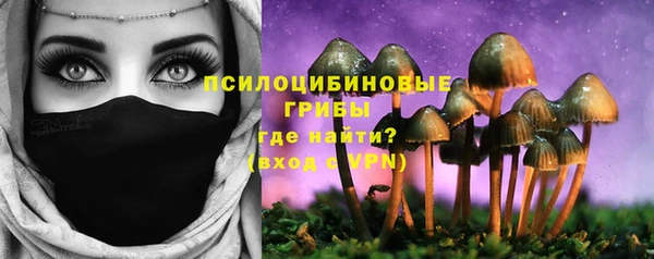 apvp Абдулино