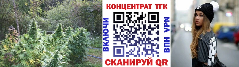 ТГК Wax  Магнитогорск 