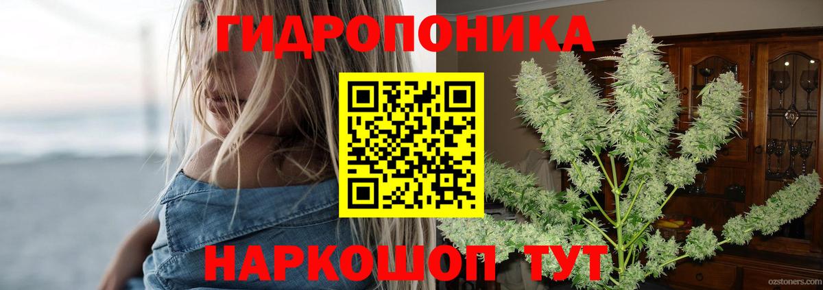 Канабис планчик  Каннабис White Widow  Марихуана MAZAR  Вход с VPN  Магнитогорск 